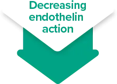 Decreasing endothelin