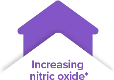 Increasing nitric oxide