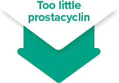 Too little prostacyclin