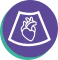 Echocardiogram (echo) icon